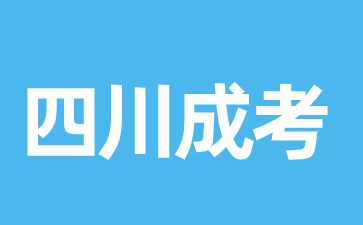 2024年四川成人高考成績查詢方法解析